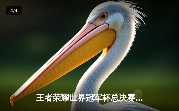 王者荣耀世界冠军杯总决赛：中国战队AG超玩会鏖战七局力克韩国GEN，荣膺全球总冠军 - 4